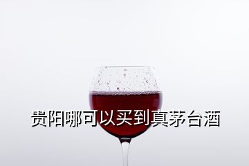 貴陽(yáng)哪可以買到真茅臺(tái)酒