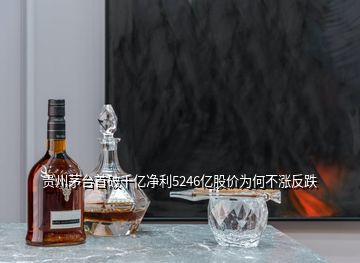 貴州茅臺首破千億凈利5246億股價為何不漲反跌