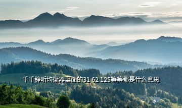 千千靜聽(tīng)均衡器里面的31 62 125等等都是什么意思