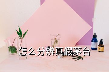 怎么分辨真假茅臺