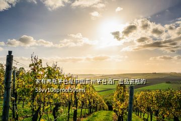 家有兩瓶茅臺(tái)是中國貴州茅臺(tái)酒廠出品瓷瓶的53vv106proof500ml