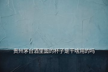 貴州茅臺(tái)酒里面的杯子是干啥用的嗎