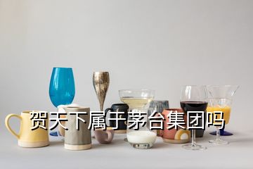 賀天下屬于茅臺集團(tuán)嗎