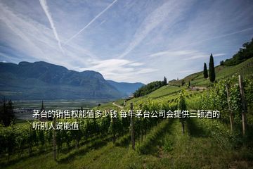 茅臺(tái)的銷售權(quán)能值多少錢 每年茅臺(tái)公司會(huì)提供三頓酒的 聽別人說能值