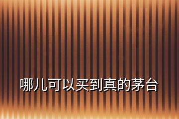 哪兒可以買到真的茅臺