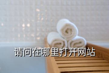 請問在哪里打開網(wǎng)站