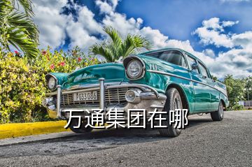 萬(wàn)通集團(tuán)在哪