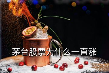 茅臺(tái)股票為什么一直漲