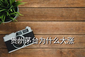 貴州茅臺(tái)為什么大漲