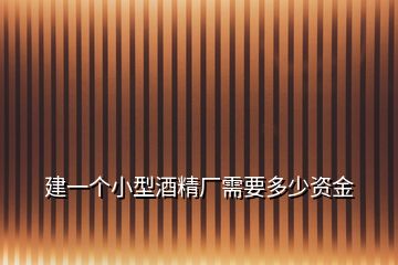 建一個小型酒精廠需要多少資金