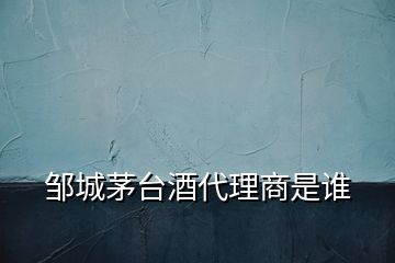 鄒城茅臺(tái)酒代理商是誰