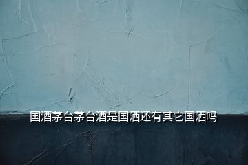 國酒茅臺茅臺酒是國灑還有其它國灑嗎