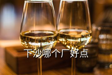 下沙哪個(gè)廠好點(diǎn)