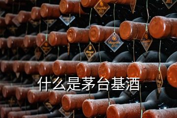 什么是茅臺基酒