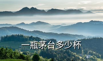 一瓶茅臺多少杯