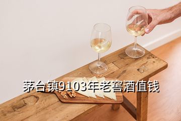 茅臺鎮(zhèn)9103年老窖酒值錢