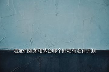 酒友們賴茅和茅臺(tái)哪個(gè)好喝有沒(méi)有評(píng)測(cè)