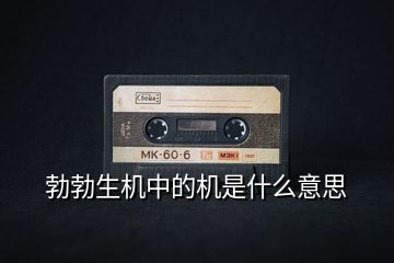 勃勃生機(jī)中的機(jī)是什么意思