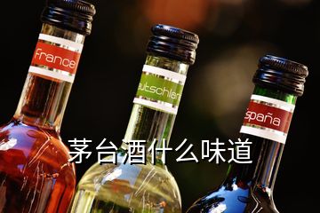 茅臺酒什么味道
