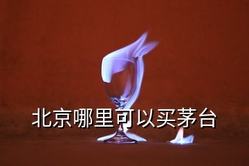 北京哪里可以買茅臺