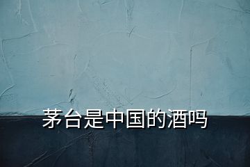 茅臺是中國的酒嗎