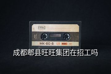 成都郫縣旺旺集團在招工嗎