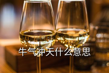 牛氣沖天什么意思