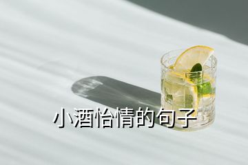 小酒怡情的句子