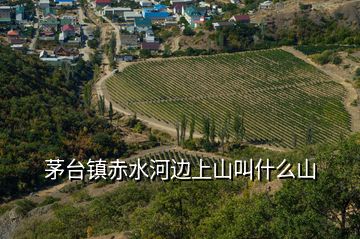 茅臺(tái)鎮(zhèn)赤水河邊上山叫什么山