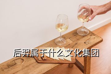 后羿屬于什么文化集團(tuán)