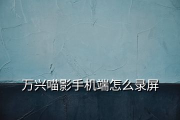 萬(wàn)興喵影手機(jī)端怎么錄屏