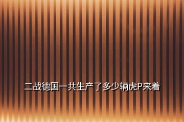 二戰(zhàn)德國一共生產(chǎn)了多少輛虎P來著