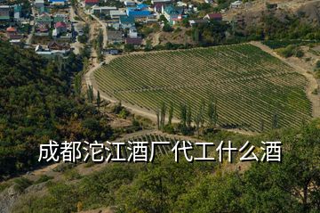 成都沱江酒廠代工什么酒