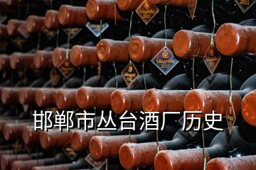 邯鄲市叢臺(tái)酒廠歷史