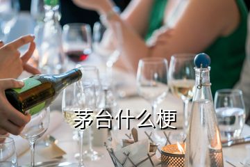 茅臺(tái)什么梗