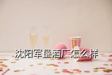 沈陽(yáng)軍墾酒廠怎么樣