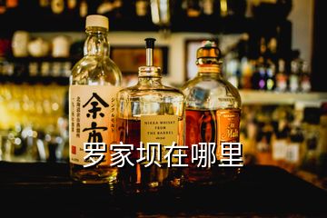 羅家壩在哪里
