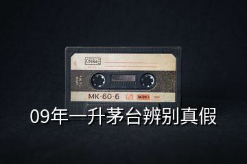 09年一升茅臺辨別真假