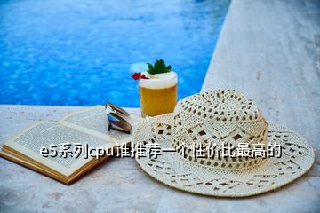 e5系列cpu誰推薦一個性價比最高的