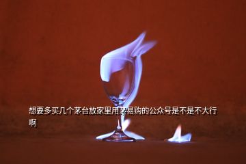 想要多買幾個(gè)茅臺(tái)放家里用茅易購的公眾號(hào)是不是不大行啊