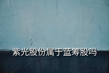 紫光股份屬于藍(lán)籌股嗎