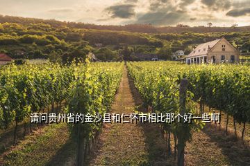請(qǐng)問(wèn)貴州省的金沙縣和仁懷市相比那個(gè)好一些啊