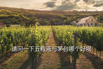 請(qǐng)問一下五糧液與茅臺(tái)哪個(gè)好喝