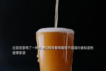 在飯館里喝了一種小酒叫釋青春喝著很不錯(cuò)請問誰知道他是哪家酒