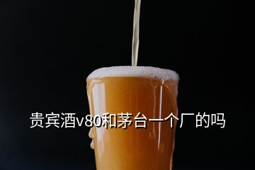 貴賓酒v80和茅臺一個(gè)廠的嗎