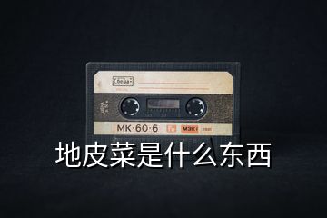 地皮菜是什么東西