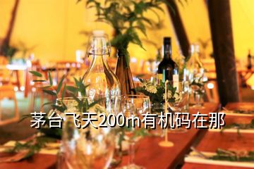 茅臺(tái)飛天200m有機(jī)碼在那