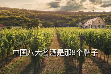 中國八大名酒是那8個(gè)牌子