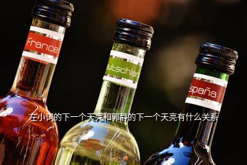 左小詞的下一個天亮和郭靜的下一個天亮有什么關系