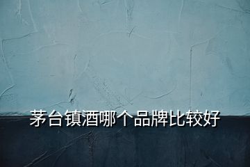 茅臺鎮(zhèn)酒哪個品牌比較好